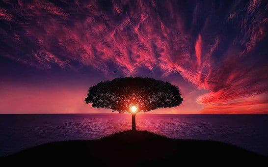 Image Thumbnail